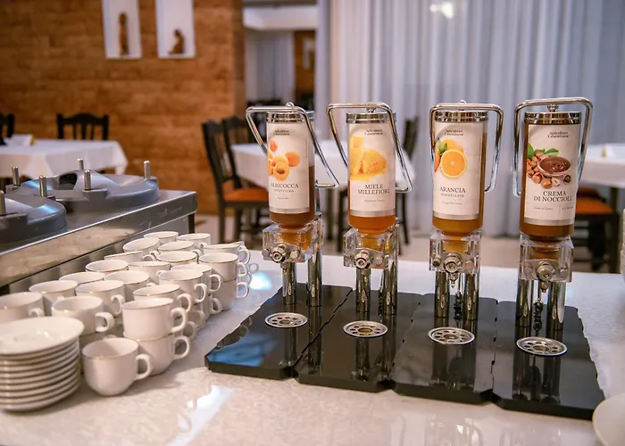 Hotel Doina